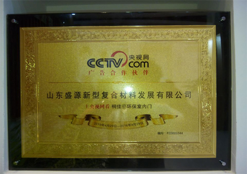 cctvV